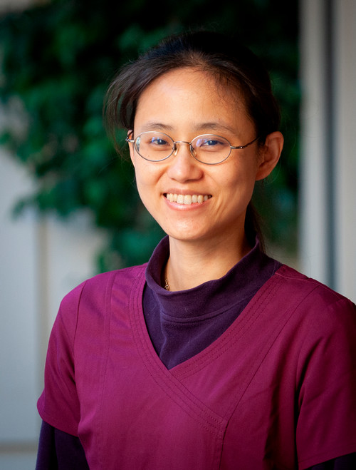 Tsung-Yu Tsai, DVM, CVA